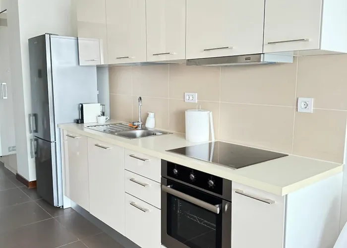 Cozy Incity Daire Bükreş